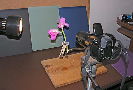 Macro stand in use