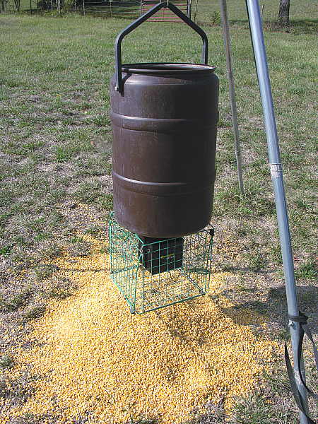 Emptying the barrel of corn