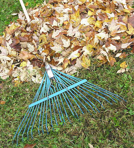 Steel tined leaf rake