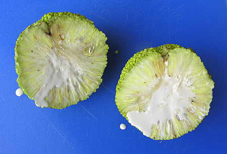 Inside of fruit