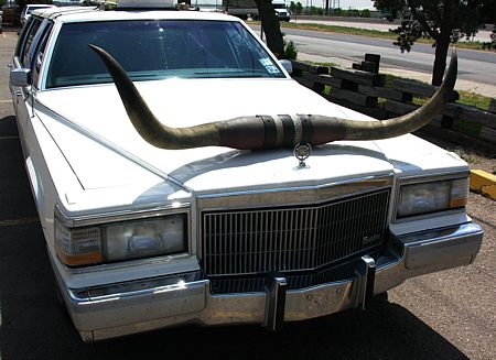 Big Cadillac longhorn limousine