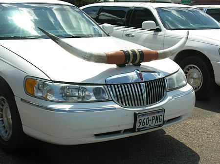 Big Lincoln longhorn limousine
