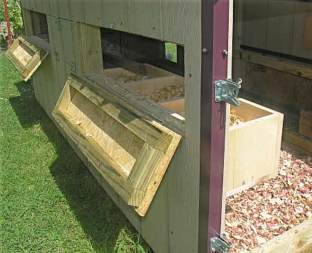Egg doors for nesting boxes