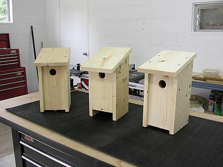 A few prototype bluebird nesting boxes