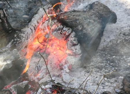 Burning log