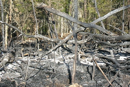 Partially burned debris