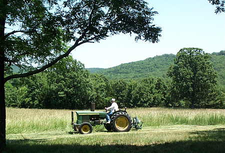 Jimmy cutting hay with a sickle-bar mower