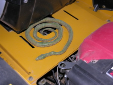 This mower needs protection too!