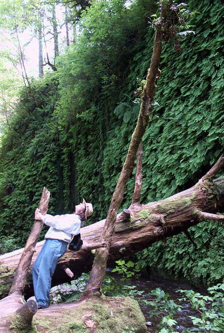 Enjoying Fern Canyon