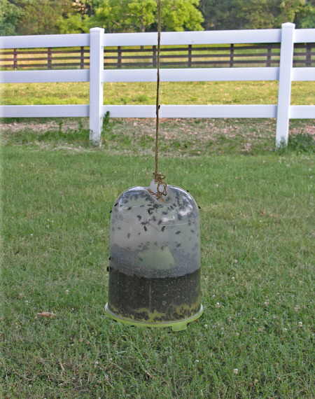 Effective disposable fly trap