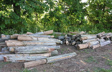 20 year old cedar fence posts