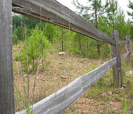 Hand-hewn split-rail fencing