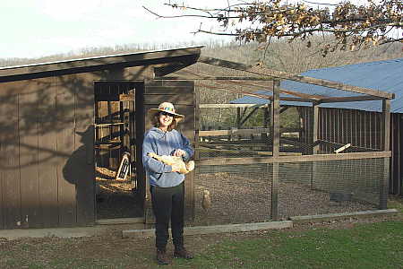 Free Standing Hen House 