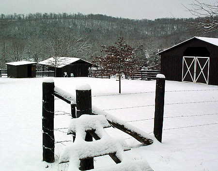 Hen house provides winter shelter