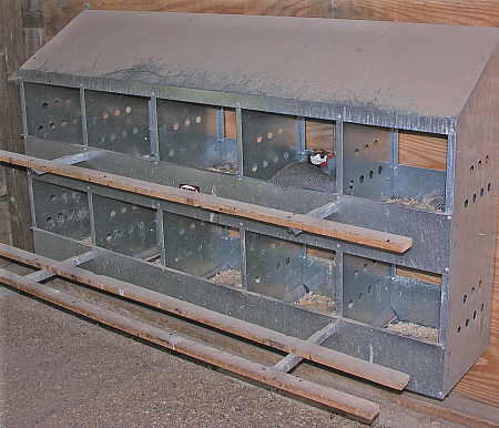 Commercial nest box