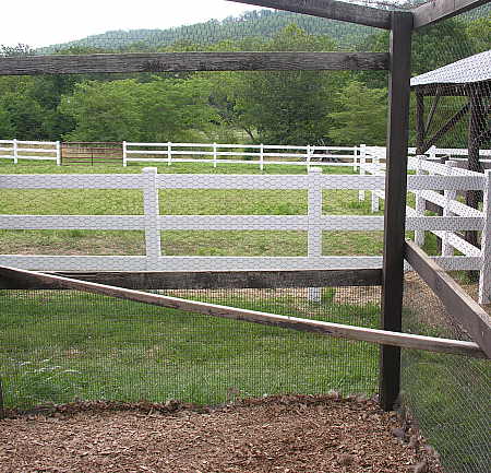 Outdoor perch