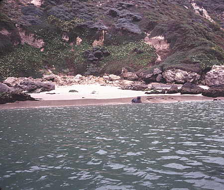 Cuyler Harbor anchorage, San Miguel Island