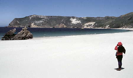 White sand beach of Cuyler Harbor, San Miguel Island