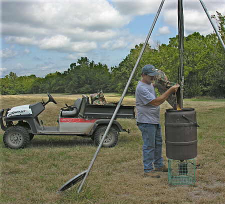 Filling the feeder with corn