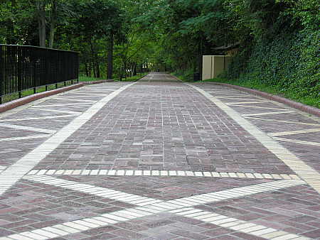 Beautiful walking paths above bath house row