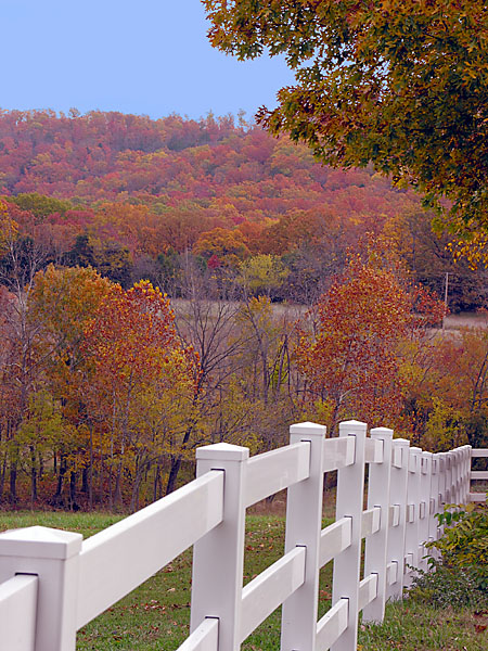 Photo from a day before the local peak of color