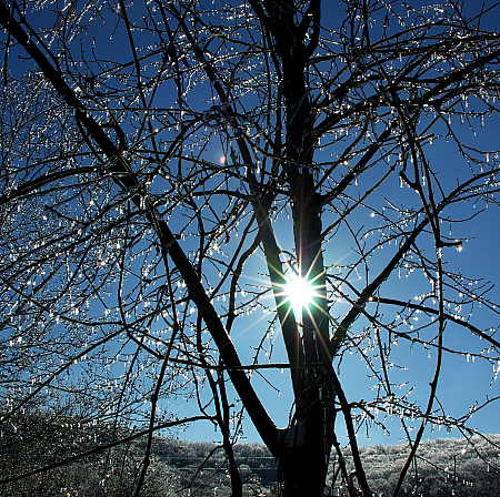 Sunshine and ice create sparkling glow