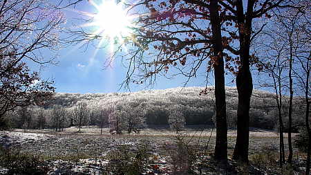 Ralph's pasture bathed in ice crystals