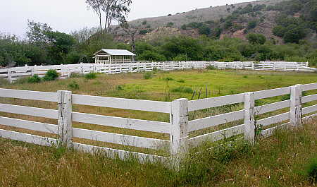 Remnants of the islandâ€™s ranching past abound on Santa Cruz Island