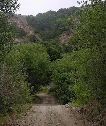 Road leading away from Scorpion ranch area into island interior