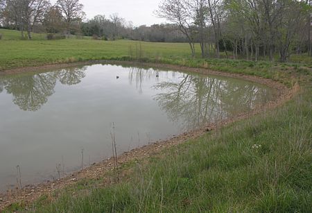 Pond at low tide