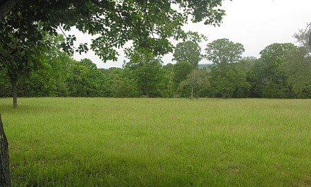 Another field