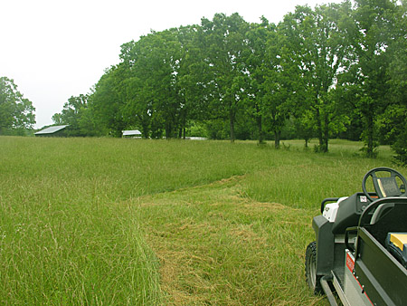 Trail through the hay