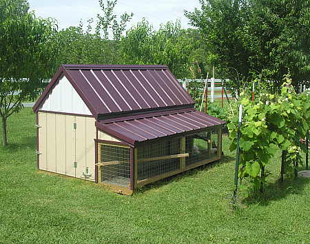 New hen house for the chickens