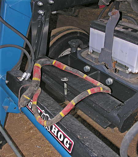 Snake guarding the engine compartment