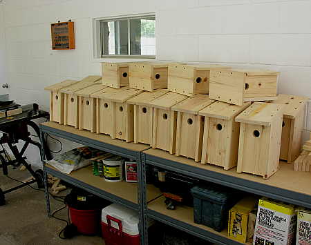 First batch of bluebird nesting boxes