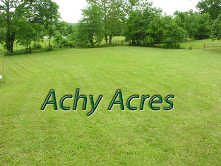 Achy Acres