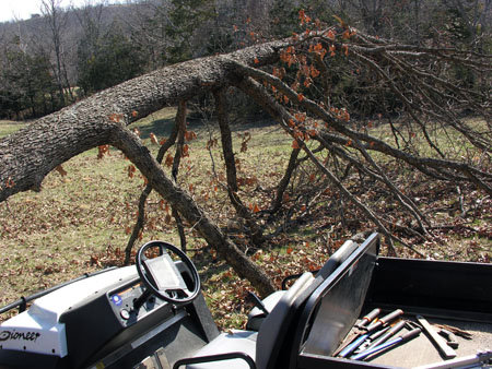 Ice Storm Damage (4)