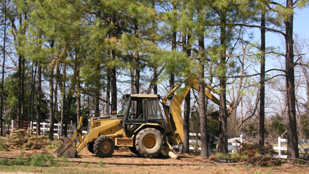 Ice Storm Damage (6)